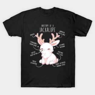 Jackalope Anatomy T-Shirt